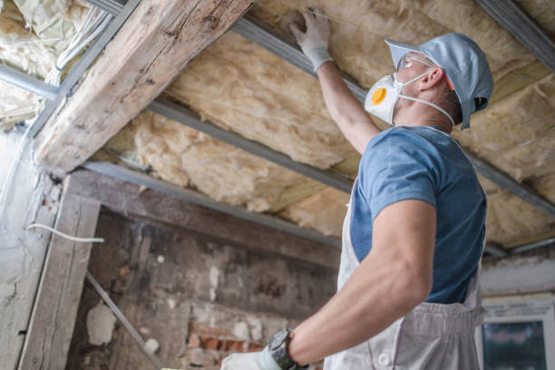 Best Specialty Insulation in La Harpe, IL